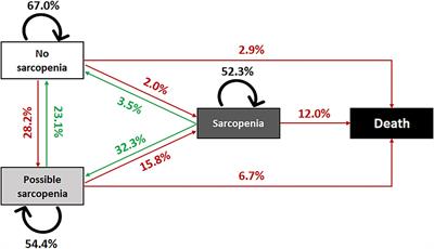 How long were older people expected to live with or without sarcopenia? Multistate modeling of a national cohort study